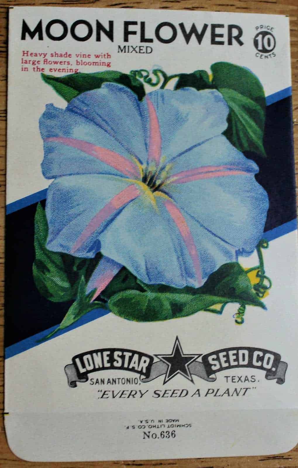 moon flower seed Seed Packets, Lone Star Seed Co, Moon Flower #636 NOS, Vintage – Antigo Trunk