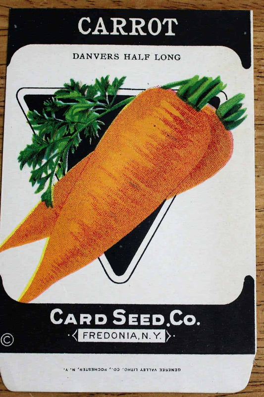 Seed Packets, Card Seed Co, Carrot, NOS, Antique,