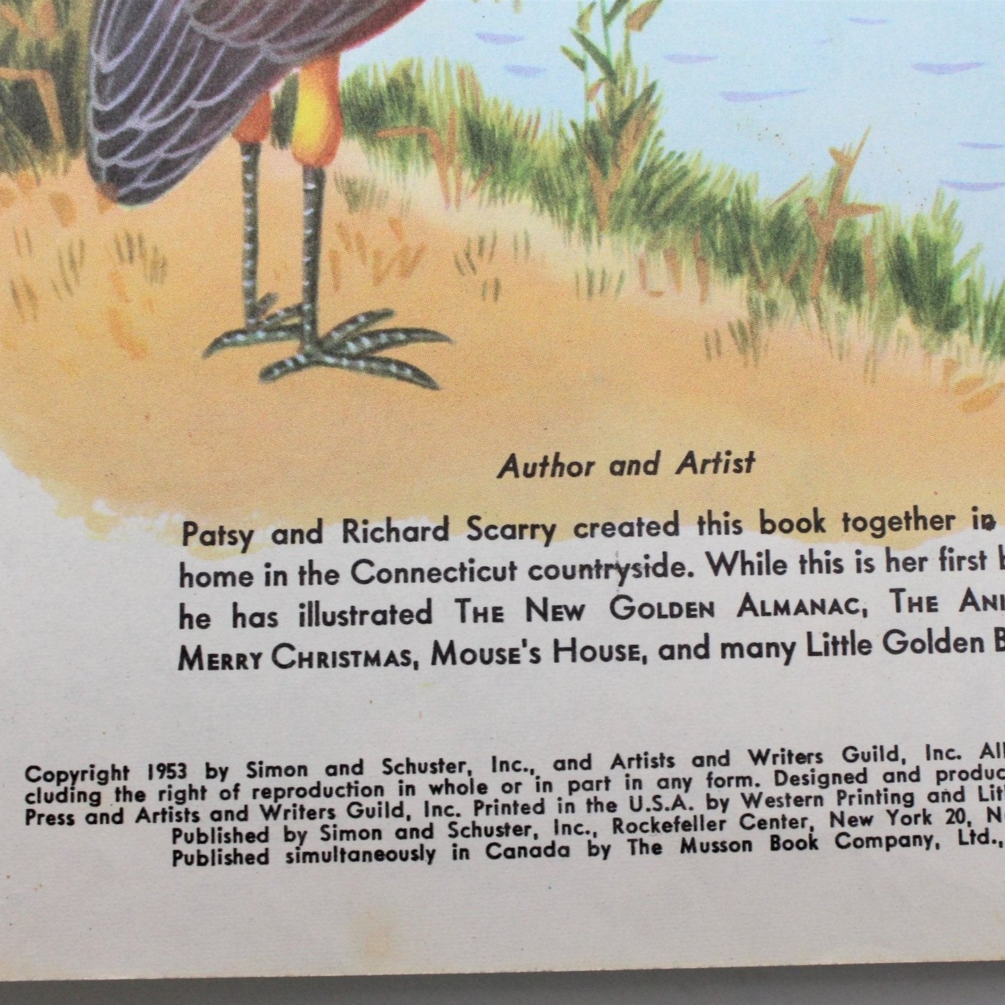 Children's Book, Little Golden Book, Danny Beaver's Secret, Hardcover, Vintage 1953