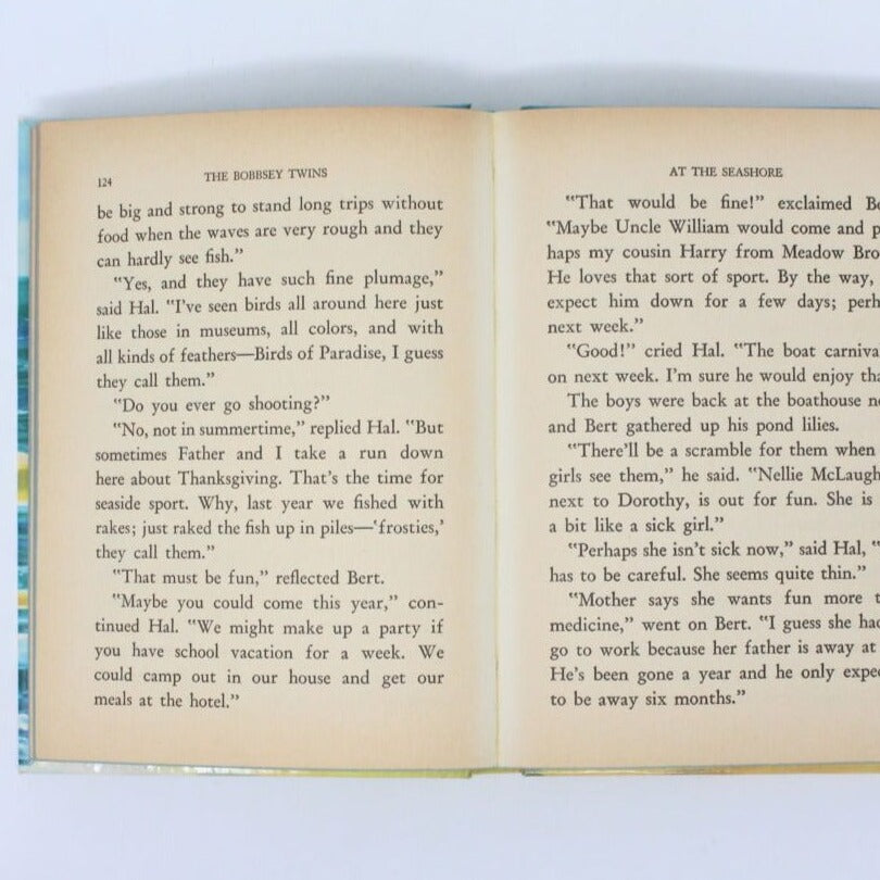 Children's Book, The Bobbsey Twins at the Seashore, Hardcover, Vintage 1954