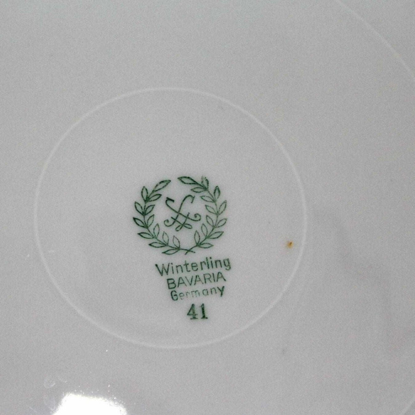 Dinner Plate, Winterling Bavaria, Pink Roses, Germany, Vintage