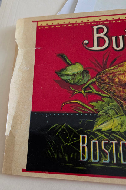 Can Label, Olney & Floyd Butterfly, Boston Marrow Squash, Lithograph, Antique 1899