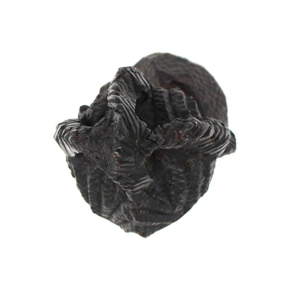 Sculpture, African Malawi Woman with Baby, Carved Bust, Solid Mahogany / Ebony, Vintage, 1950's