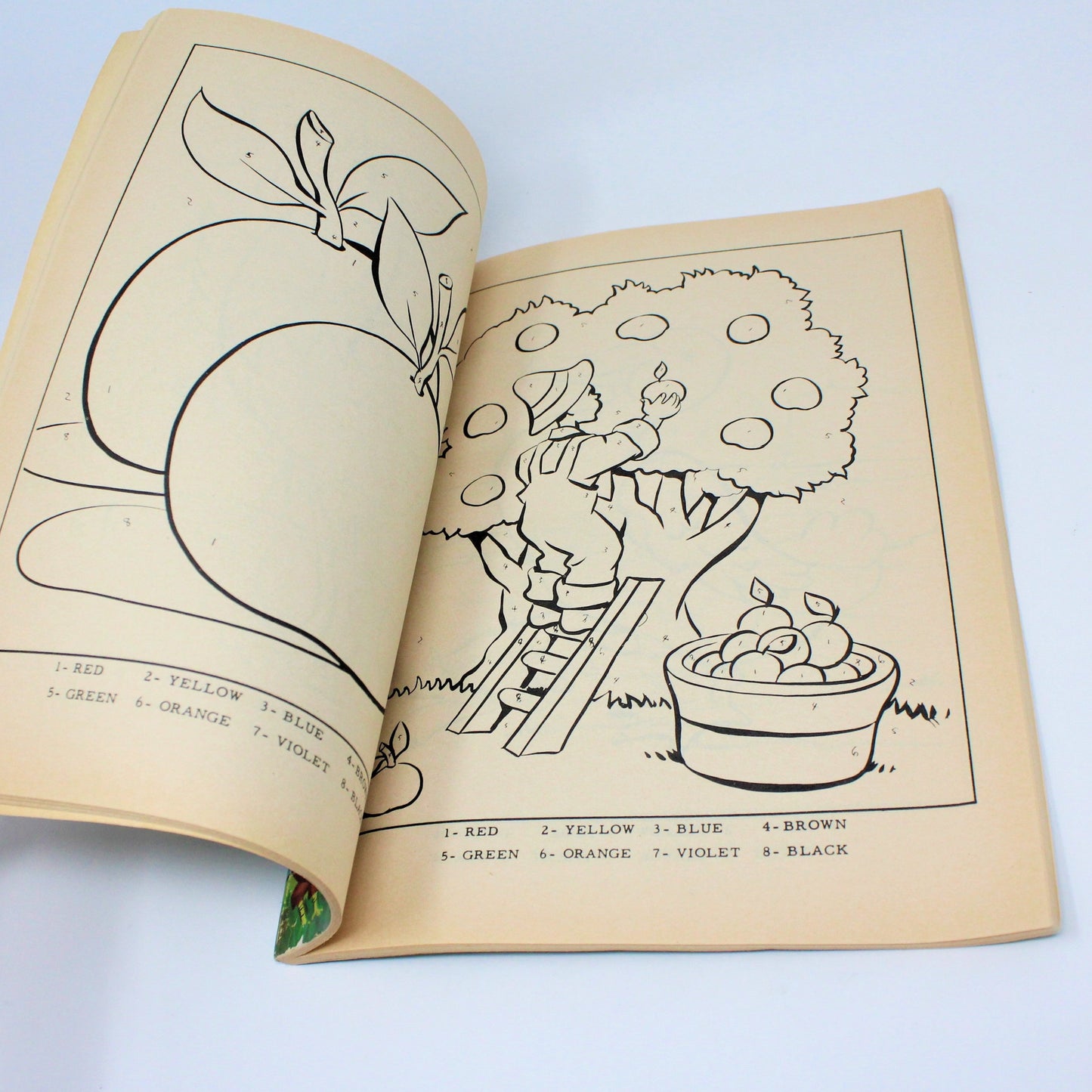 Coloring Book, Mac Donald's Farm, Color by Number, Clover Twinkle Books, Vintage