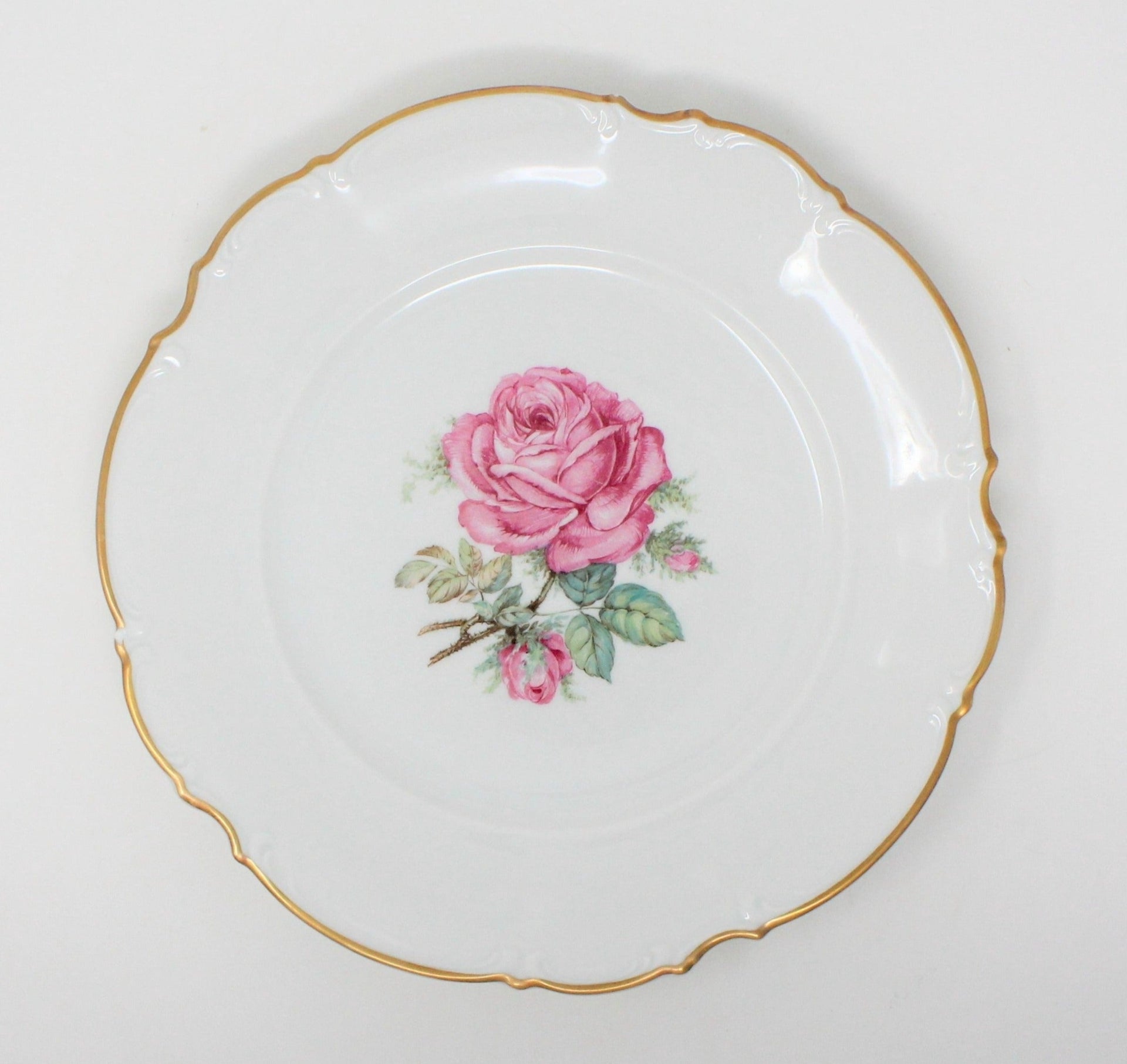 Hutschenreuther - Assiette à Dîner 9 - Maria Theresia Seehof Blau Porcelaine Marie Therese Seehof Hutschenreuther - Assiette à Dîner 9 - Maria Theresia Seehof Blau Porcelaine Marie Therese Seehof