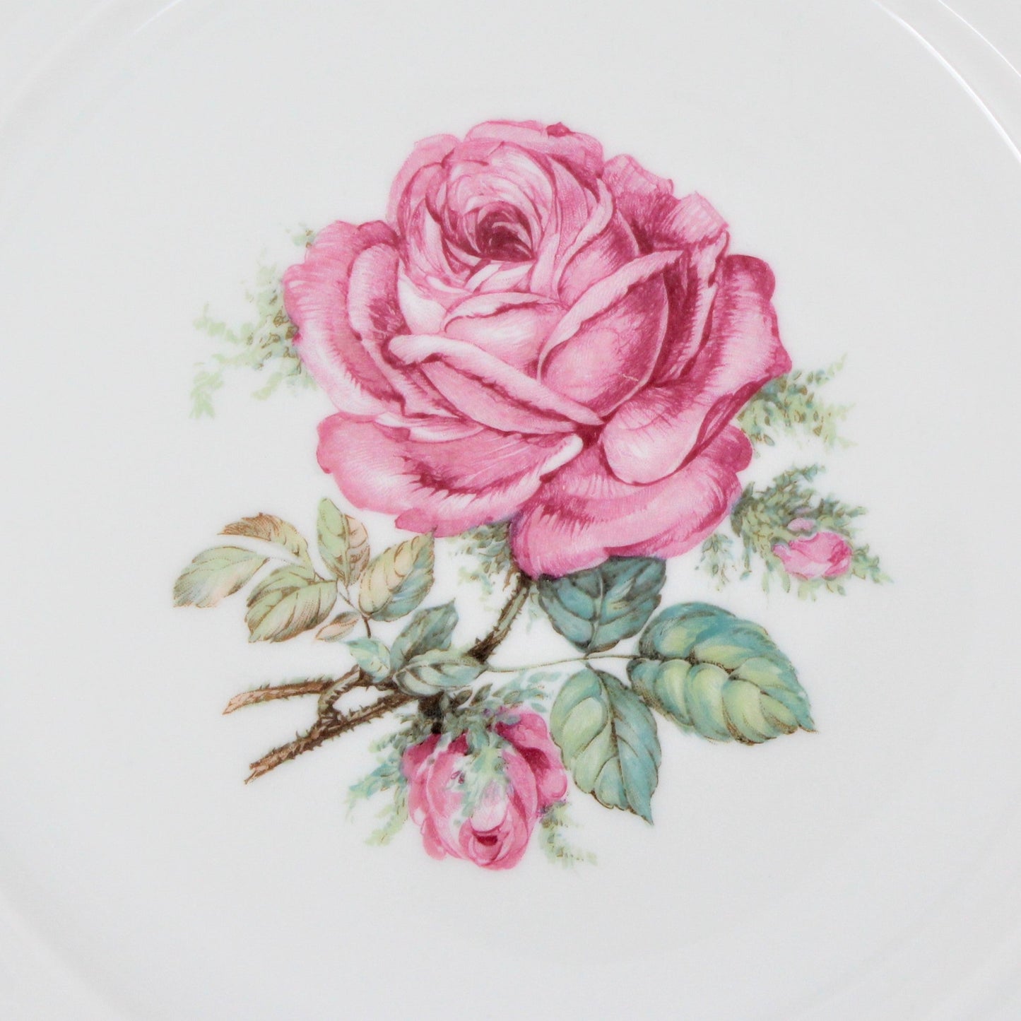 Dinner Plate, Hutschenreuther, The Dundee, Pink Rose, Bavaria, Germany, Vintage