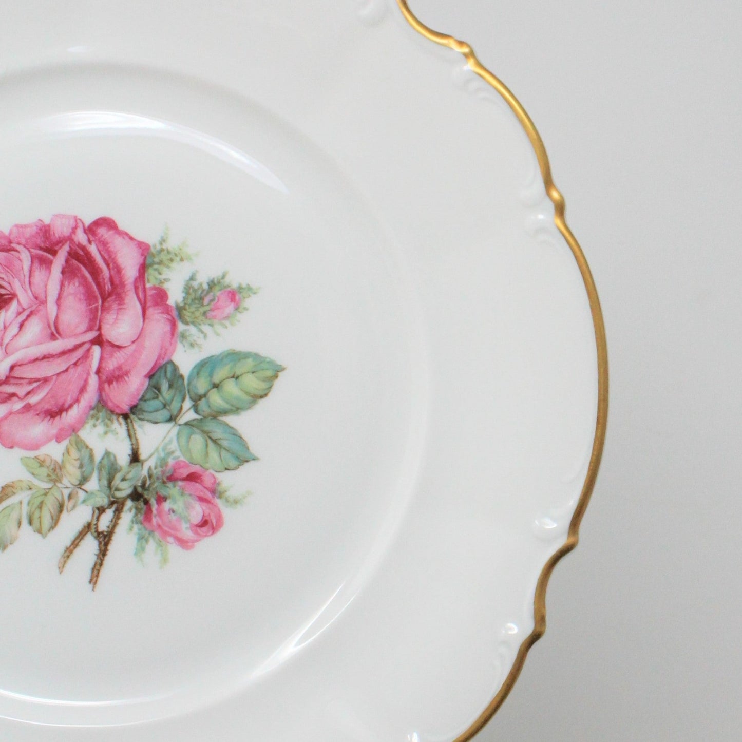 Dinner Plate, Hutschenreuther, The Dundee, Pink Rose, Bavaria, Germany, Vintage