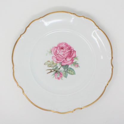 Dinner Plate, The Dundee vintage pattern