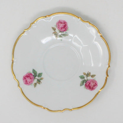 Teacup and Saucer, Hutschenreuther Selb LHS, The Dundee, Pink Rose, Bavaria, Germany, Vintage