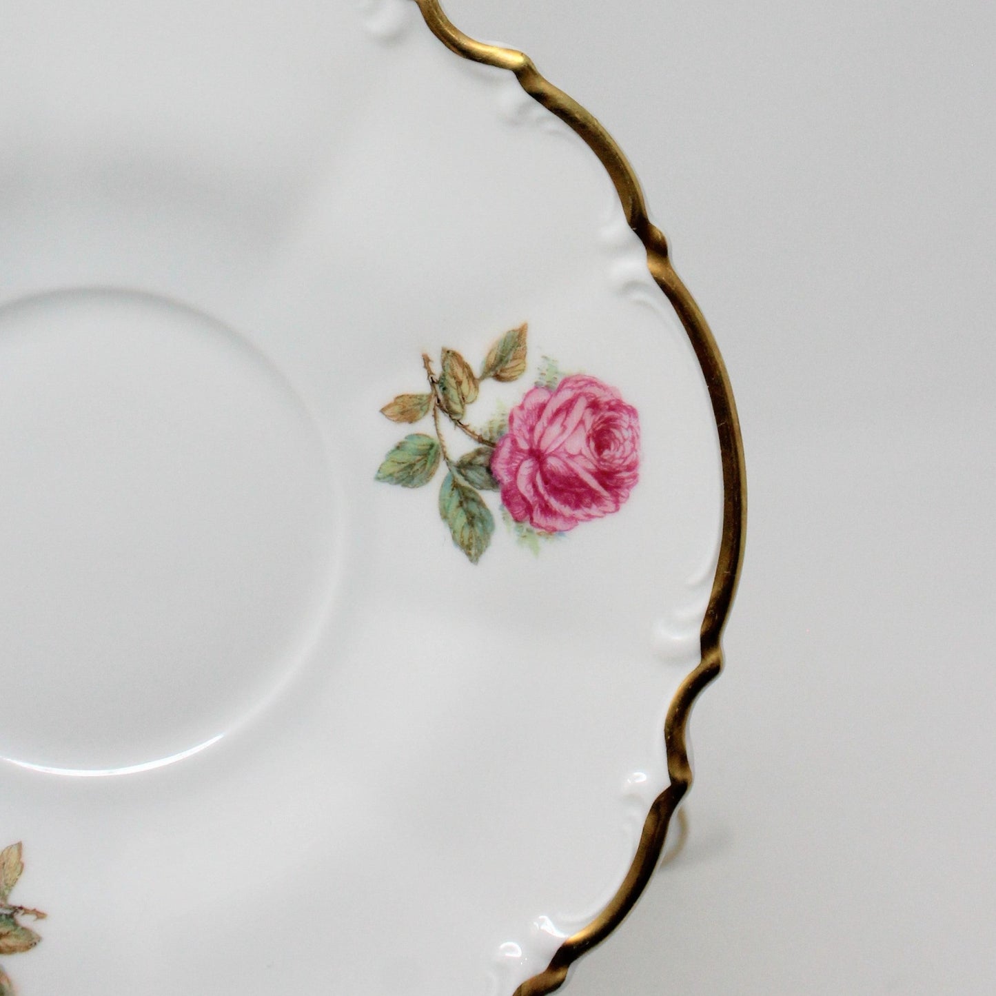 Teacup and Saucer, Hutschenreuther Selb LHS, The Dundee, Pink Rose, Bavaria, Germany, Vintage