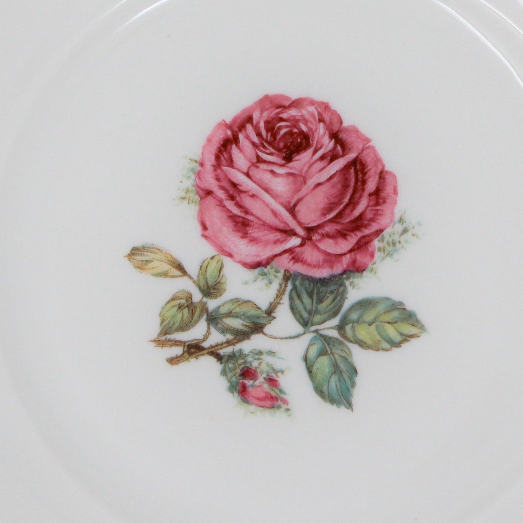 The Dundee pattern, large pink rose