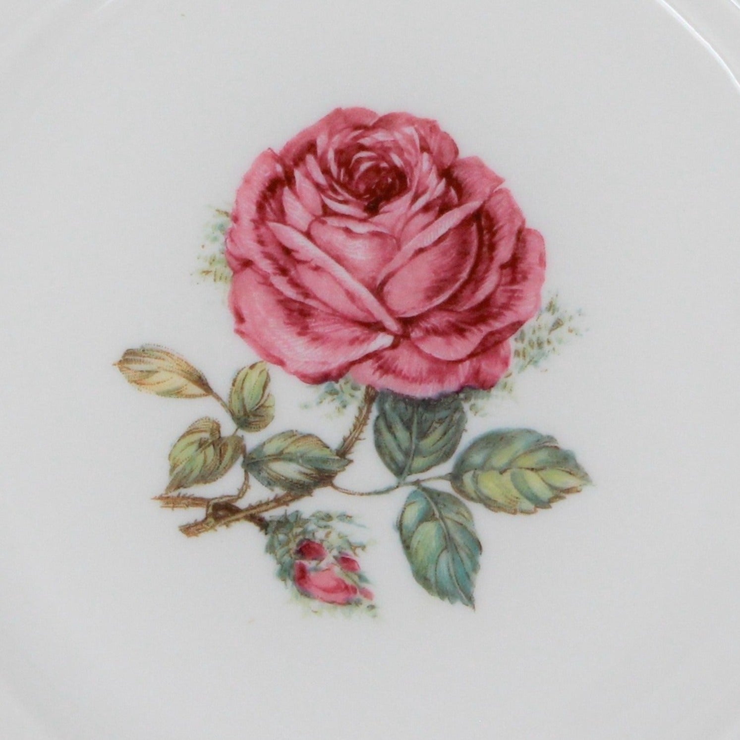 The Dundee pattern, large pink rose