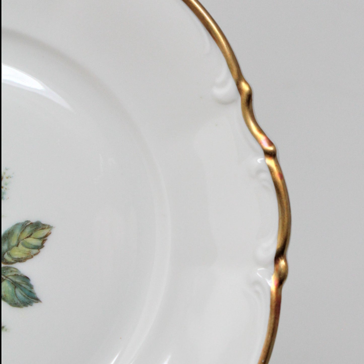 Bread & Butter Plate, Hutschenreuther, The Dundee, Pink Rose, Bavaria, Germany, Vintage