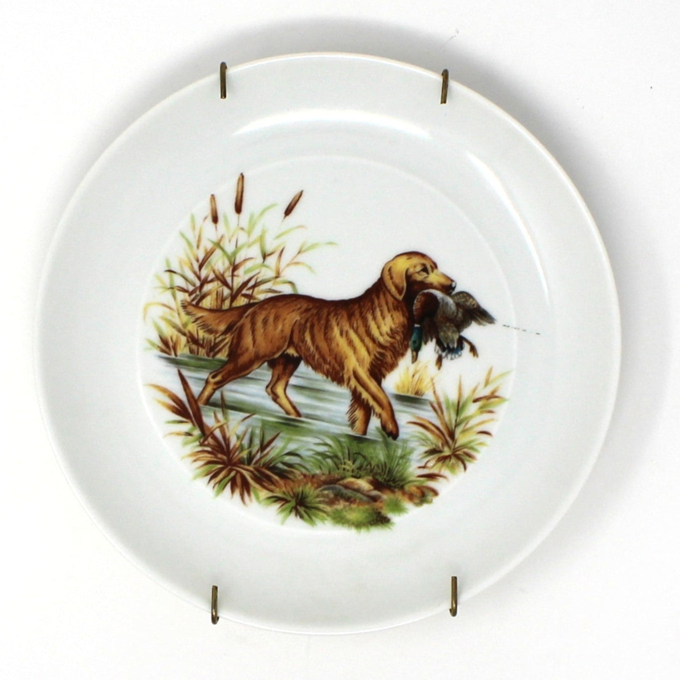 Golden Retriever Plate