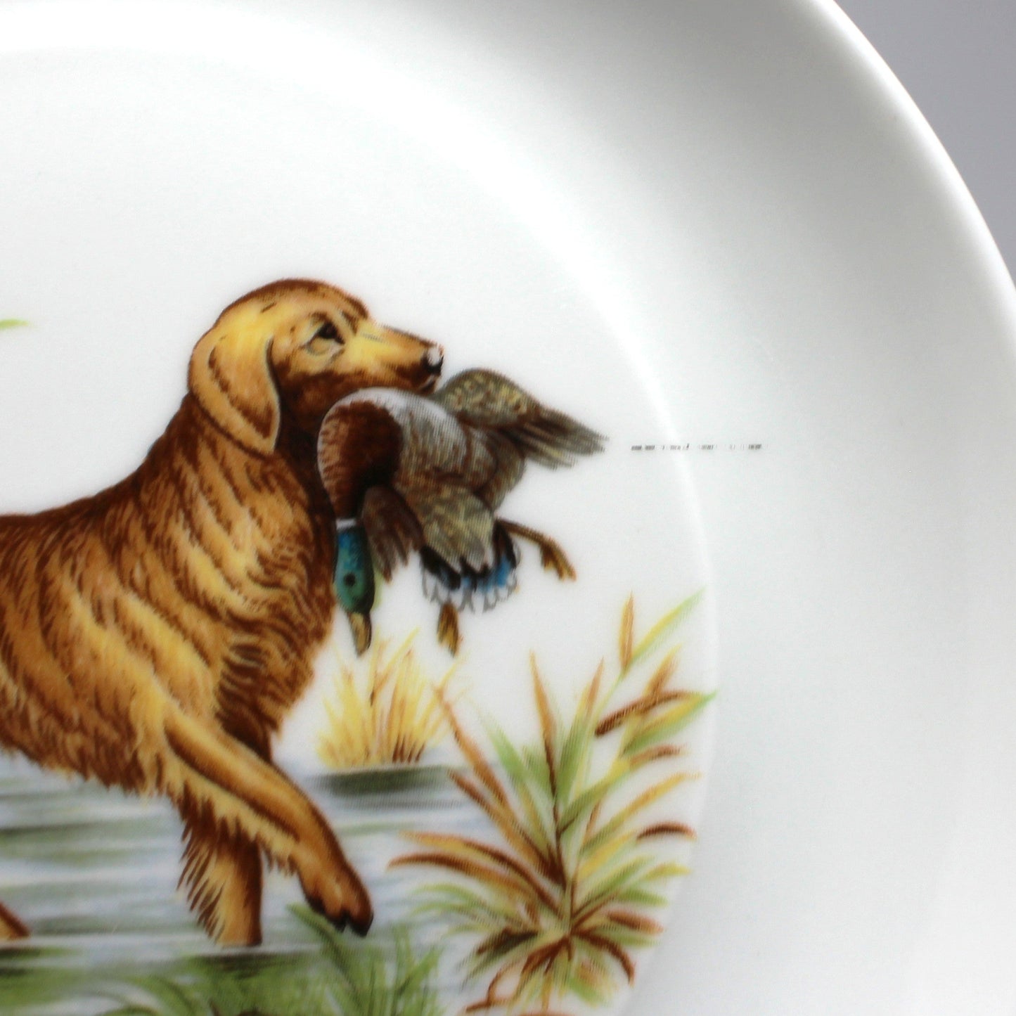 Decorative Plates, Hunting Dogs Wall Decor Plates, Set of 5, Bidasoa, Spain, Vintage