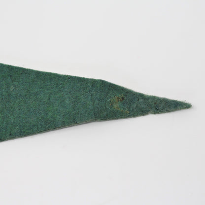 Pennant, St Petersburg Florida Souvenir Collectible, Vintage 12", SOLD