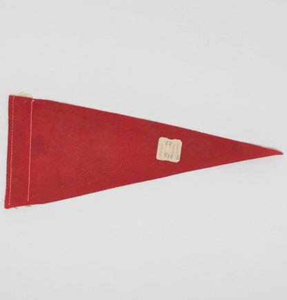 Pennant, New Mexico Souvenir Collectible, Vintage 9"