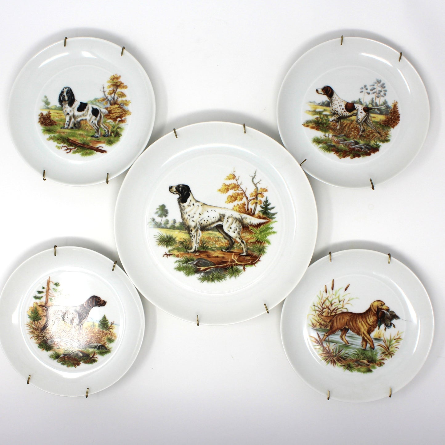 Set of 5 dog plates