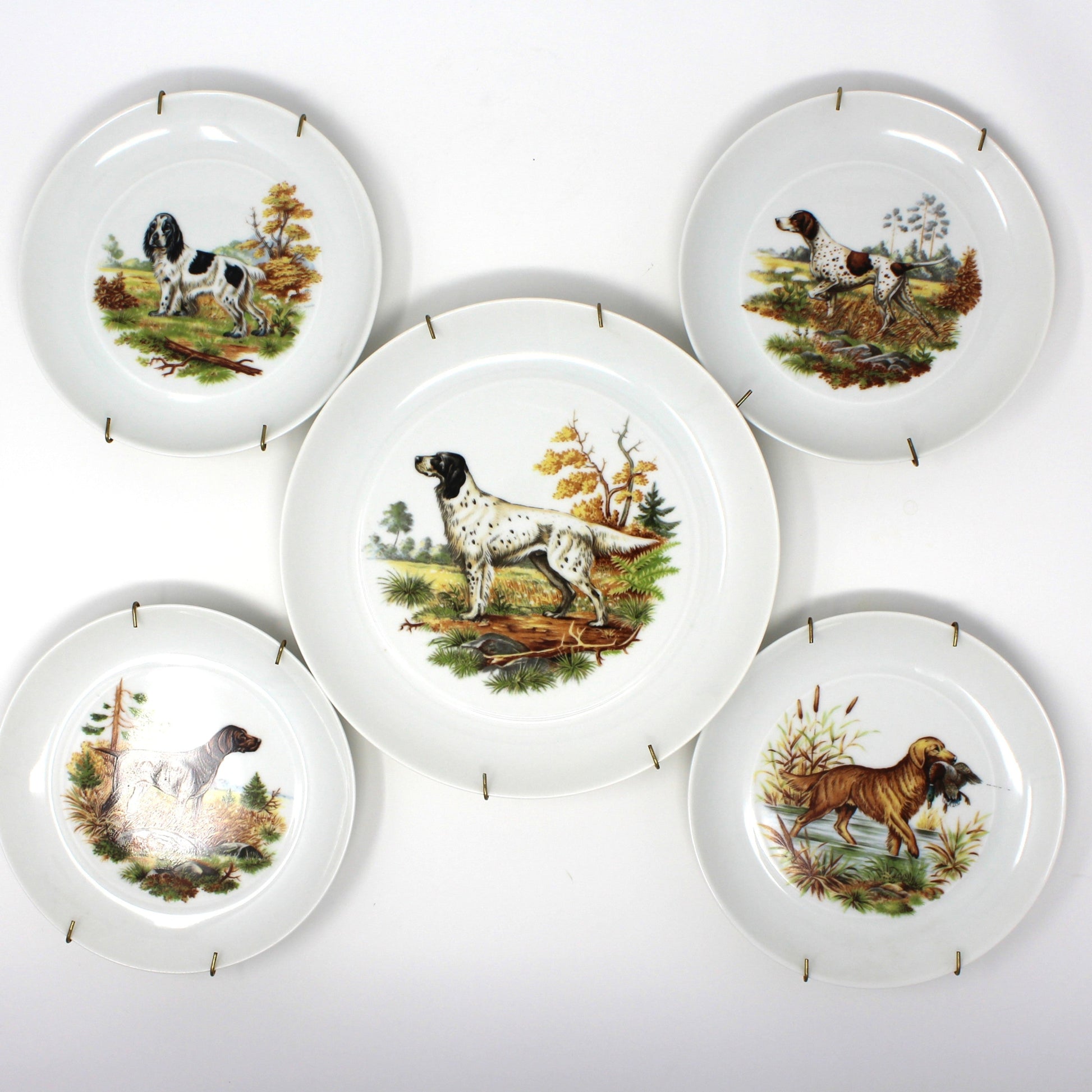 Set of 5 dog plates