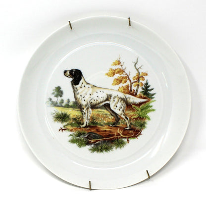 Decorative Plates, Hunting Dogs Wall Decor Plates, Set of 5, Bidasoa, Spain, Vintage