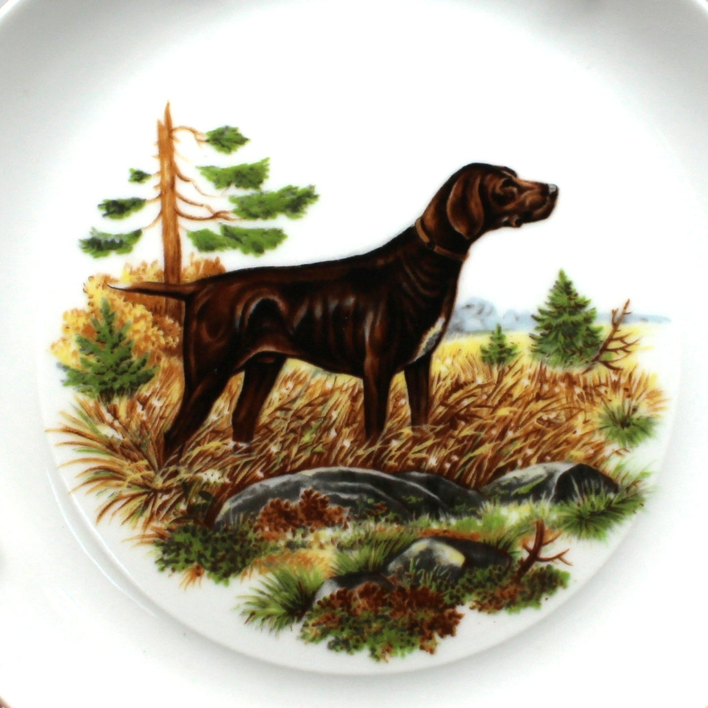 Decorative Plates, Hunting Dogs Wall Decor Plates, Set of 5, Bidasoa, Spain, Vintage