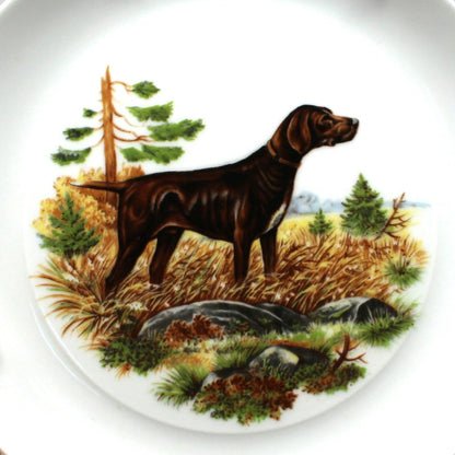 Decorative Plates, Hunting Dogs Wall Decor Plates, Set of 5, Bidasoa, Spain, Vintage