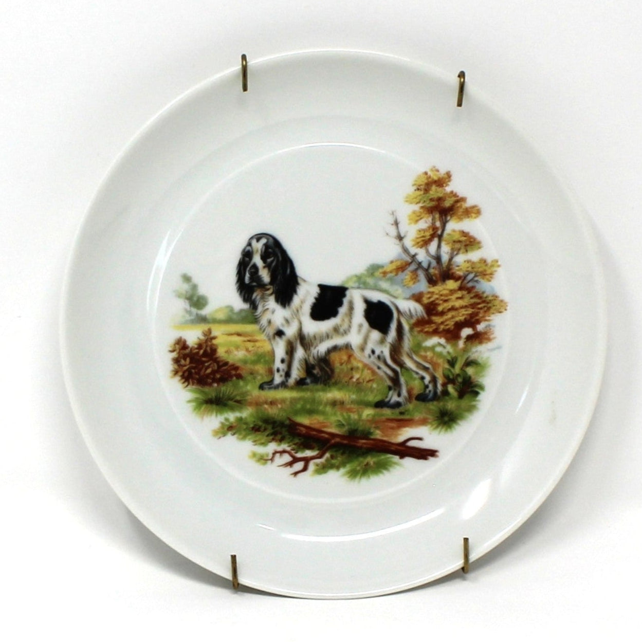 English Springer Dog plate