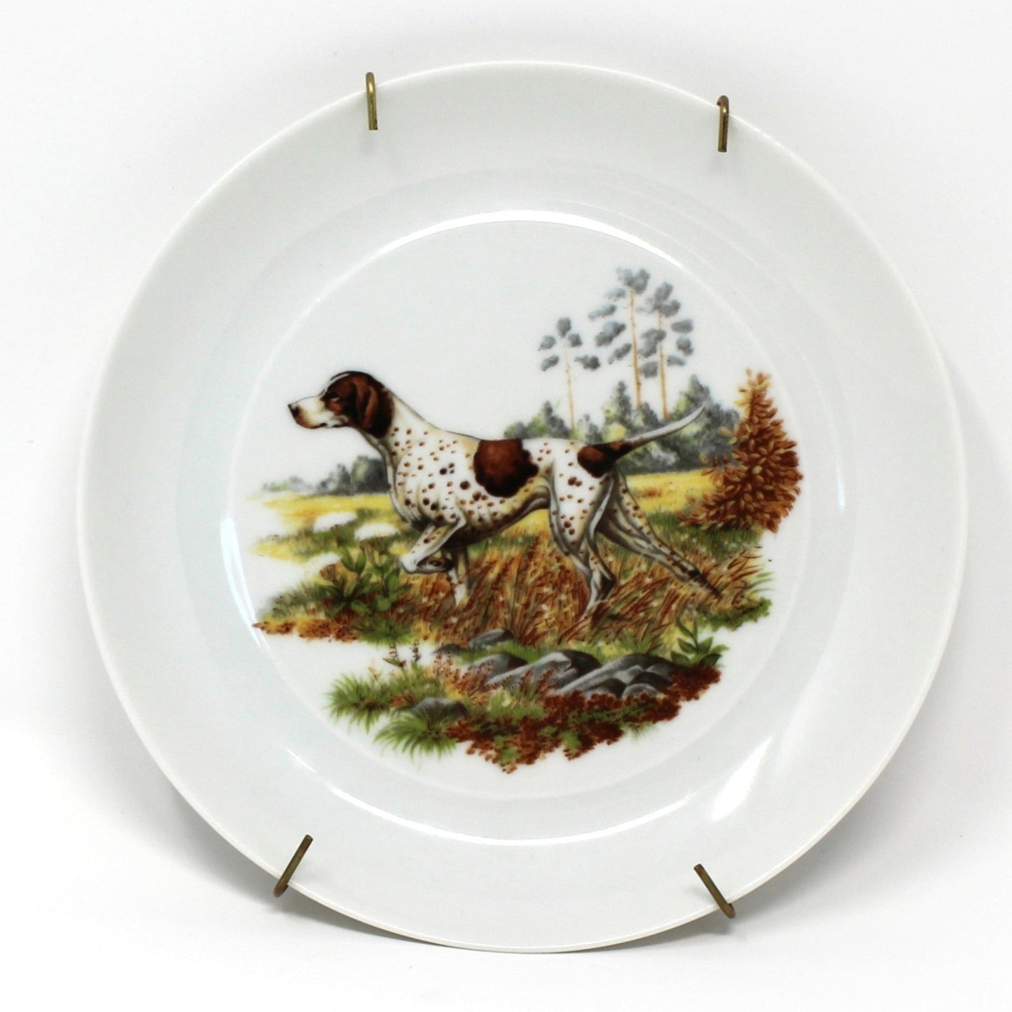 Pointer Dog Plate