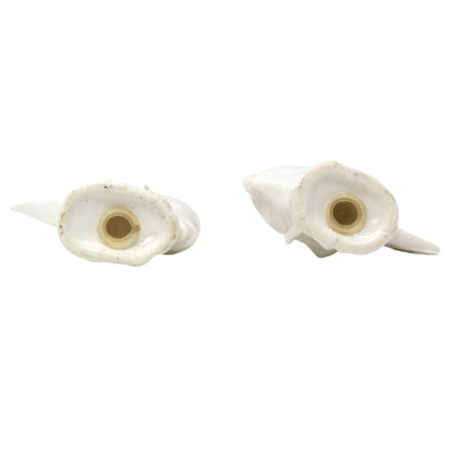 Salt and Pepper Shakers, Angel Fish Shaped Bone China, Elegant Coastal Tableware, Maritime Living, Vintage