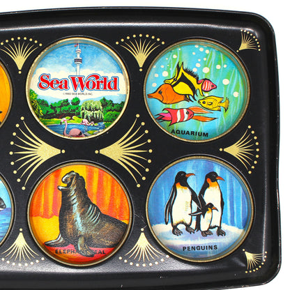 Tray, Drink Serving Tray, Sea World Souvenir, Midcentury Barware, Drink Caddy, Vintage