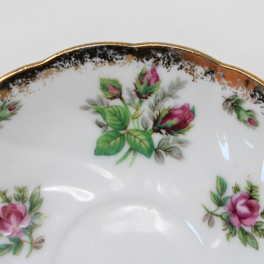 Saucers, Fred Roberts Co, Moss Rose Pink Roses, Vintage