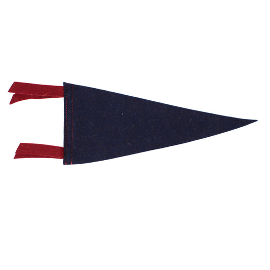 Pennant, School Pennant, University of Mississippi Collectible, Wool Felt, Vintage 8.75"