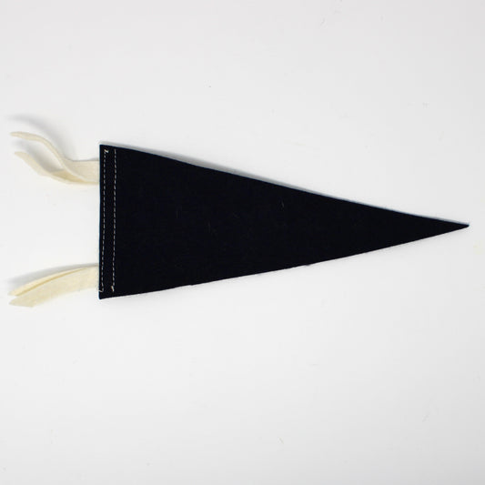 Pennant, School Pennant, Duke University Collectible, Wool Felt, Vintage 8.75"