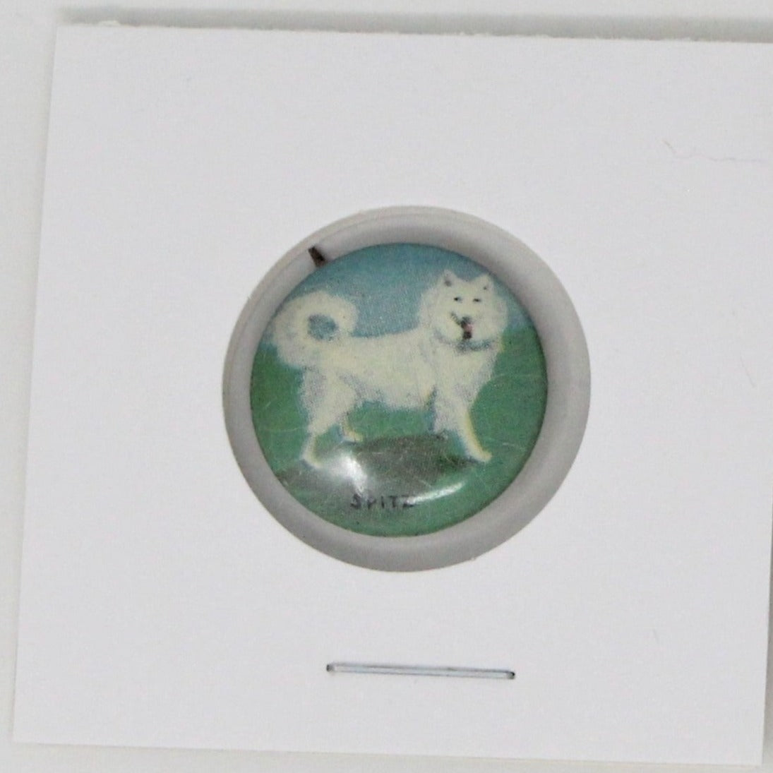 Pinback,  Mini Pinback Button, German Spitz Dog, Tin Lithograph, Vintage