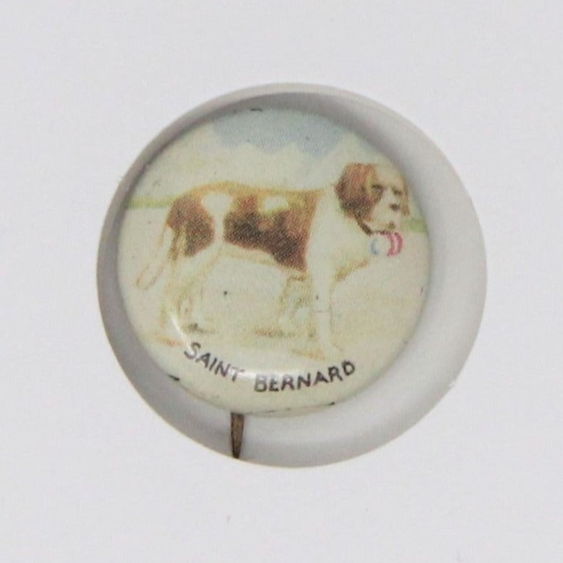 Pinback,  Mini Pinback Button, Saint Bernard Dog, Tin Lithograph, Vintage
