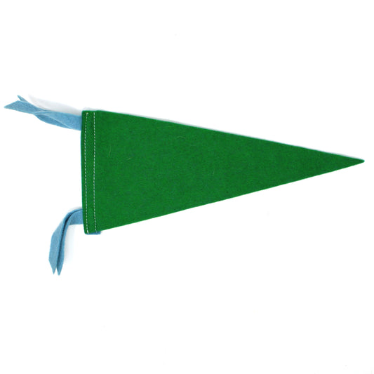Pennant, School Pennant, Tulane University Collectible, Wool Felt, Vintage 8.75"