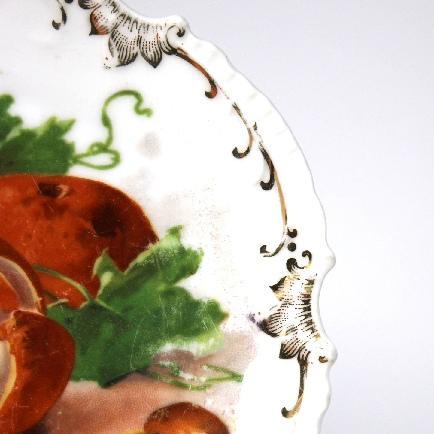 antique decorative plate border detail with embossing and gold brush design