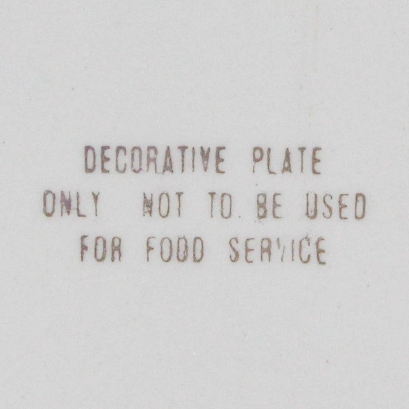 Decorative Plate, Souvenir Collectors Plate, City of Chicago, Vintage 1960's