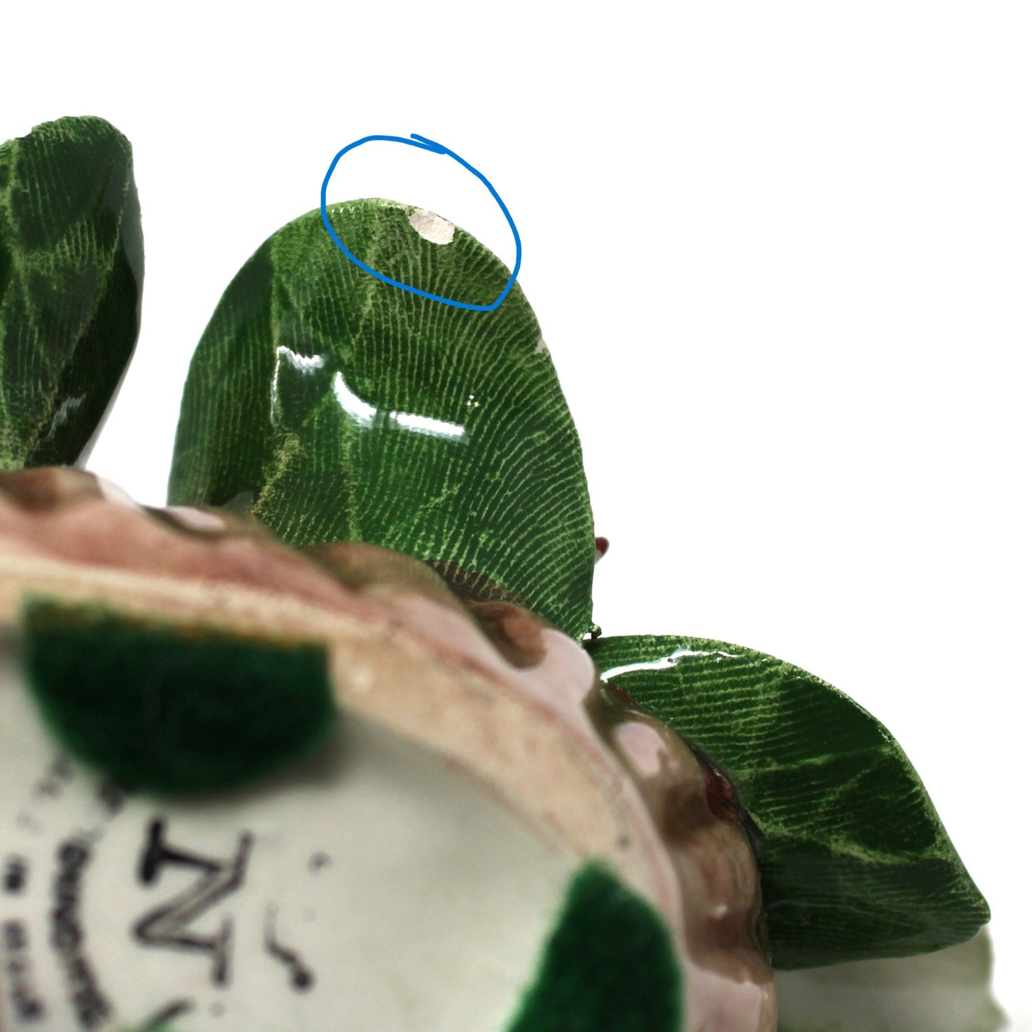 Close-up of a decorative item with green leaves and a shell, held by a hand.
