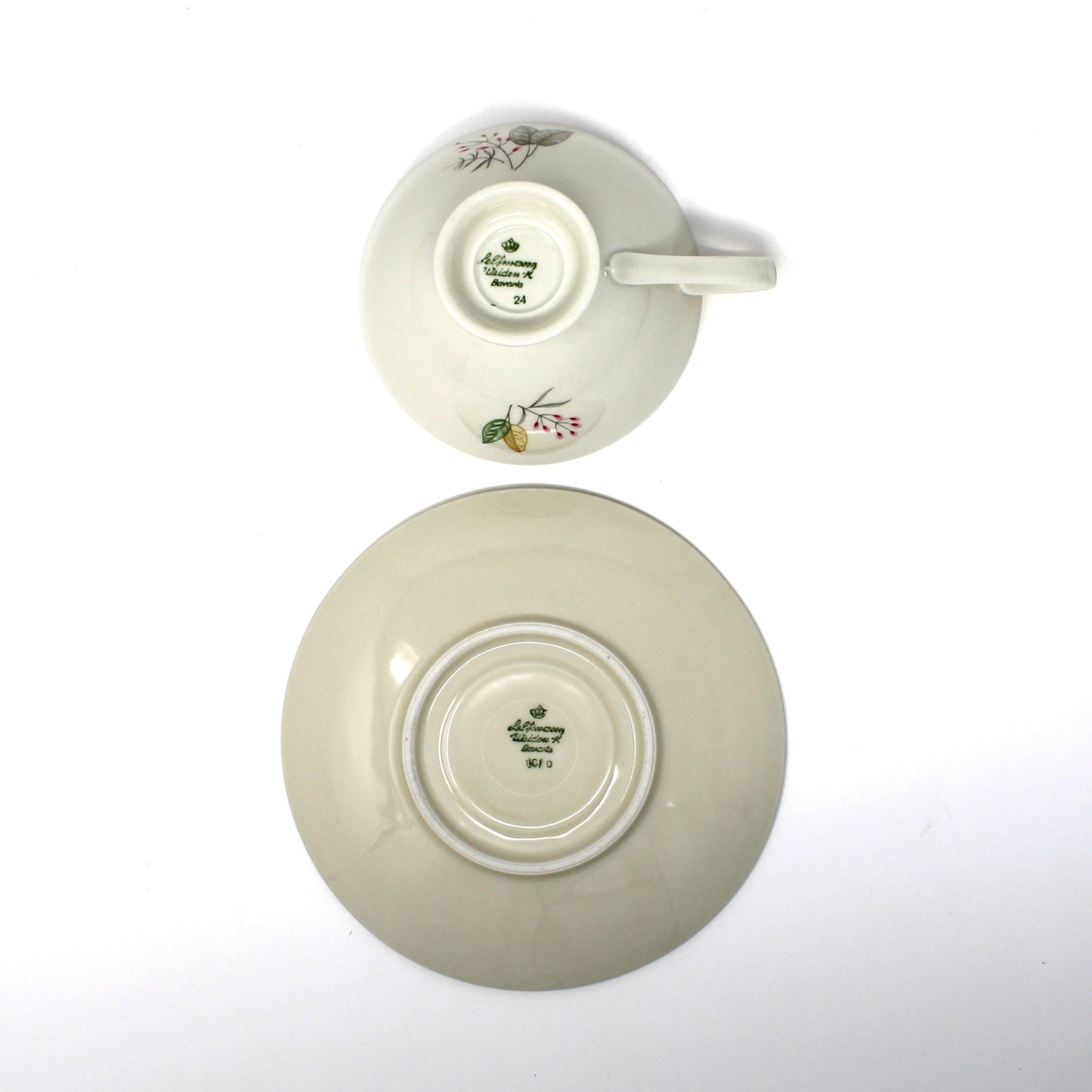 Teacup & Saucer with Matching Salad Plate, Seltmann Weiden, Monstera Fenestrated Foliage Leaves, Vintage Bavaria