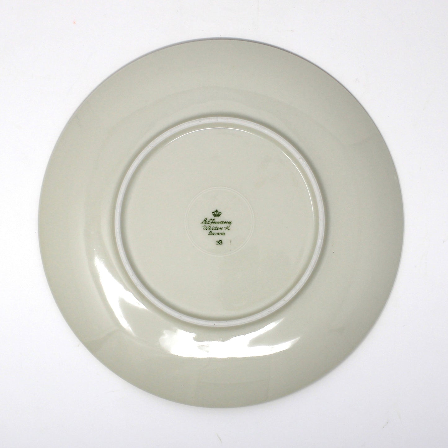 Teacup & Saucer with Matching Salad Plate, Seltmann Weiden, Monstera Fenestrated Foliage Leaves, Vintage Bavaria