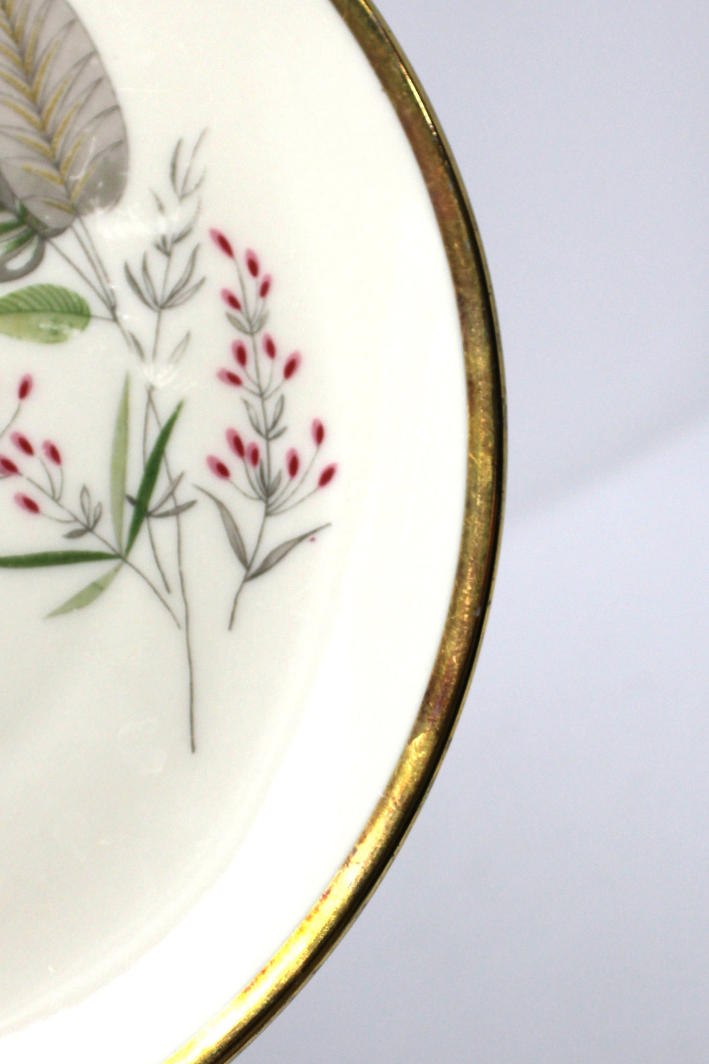 Teacup & Saucer with Matching Salad Plate, Seltmann Weiden, Monstera Fenestrated Foliage Leaves, Vintage Bavaria