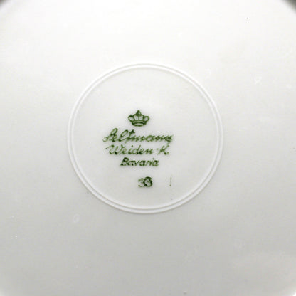 Teacup & Saucer with Matching Salad Plate, Seltmann Weiden, Monstera Fenestrated Foliage Leaves, Vintage Bavaria