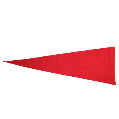 Pennant, Myrtle Beach, SC Souvenir Collectible, Vintage 25"