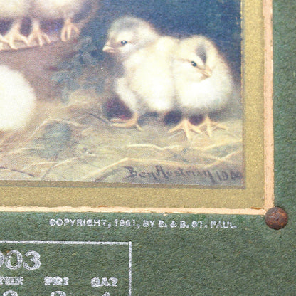 Calendar, Advertising Calendar, Original, Lumen Bearing Co, NY, Ben Austrian Chicks Print, Antique 1903