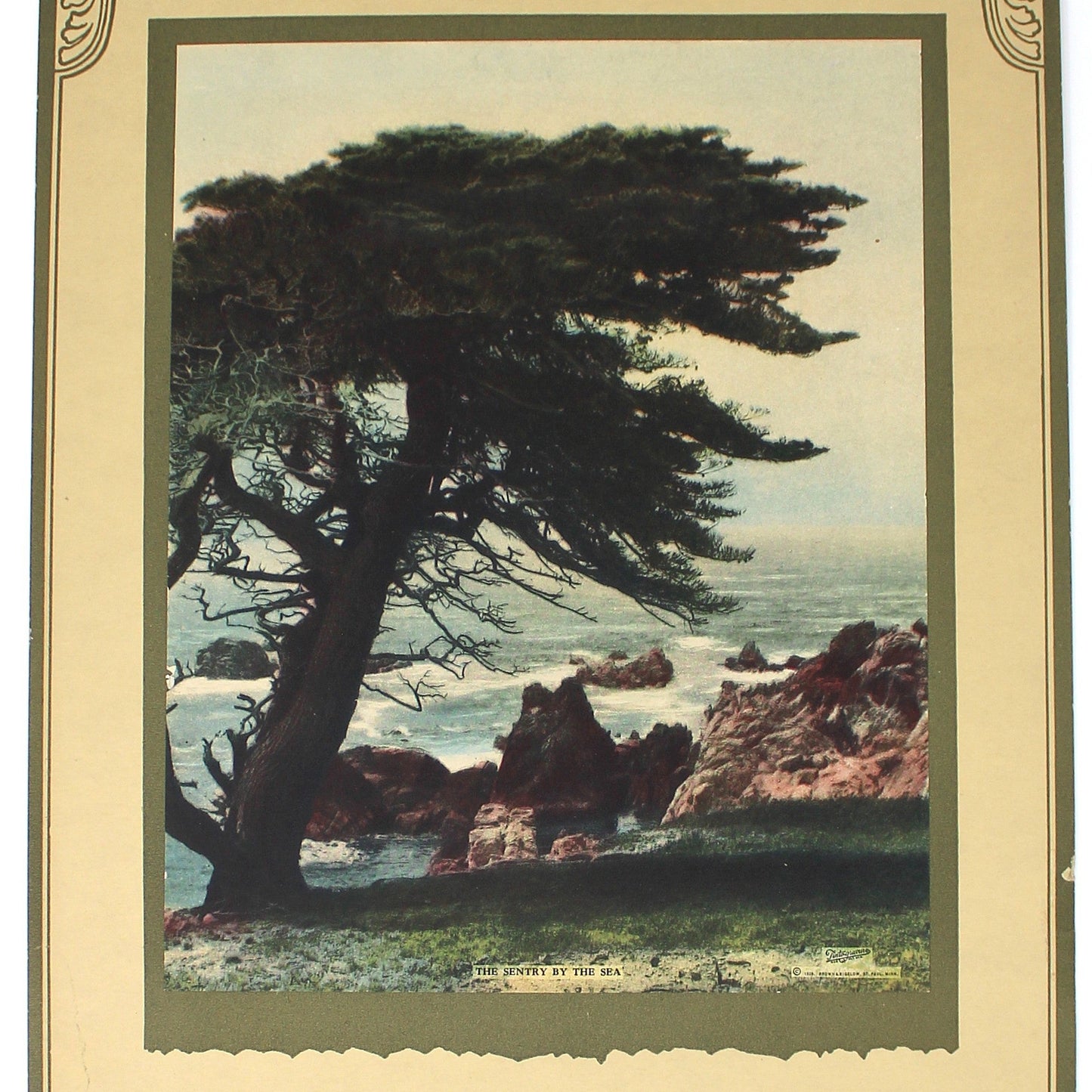 Vintage-style calendar with a scenic illustration of a tree and landscape titled "The Sentry by the Sea".