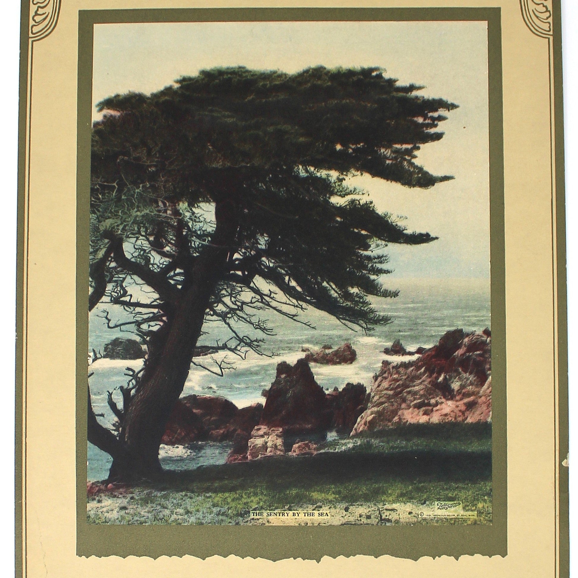 Vintage-style calendar with a scenic illustration of a tree and landscape titled "The Sentry by the Sea".