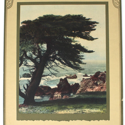 Vintage-style calendar with a scenic illustration of a tree and landscape titled "The Sentry by the Sea".