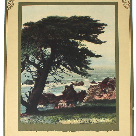 Vintage-style calendar with a scenic illustration of a tree and landscape titled "The Sentry by the Sea".
