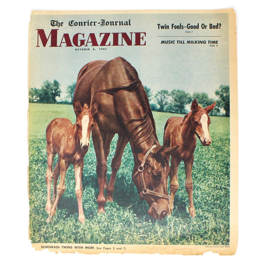 Magazine Cover, Original, The Courier Journal, 1961, Horses Mare & Two Foals, Vintage